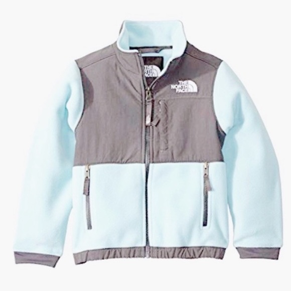 The North Face Other - The North Face Full Zip Hoodie